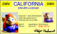 This photo doesn't look like you. (Illustration: A driver license with a blury, high-contrast photo of a poorly made toy Gadget figurine on it.)